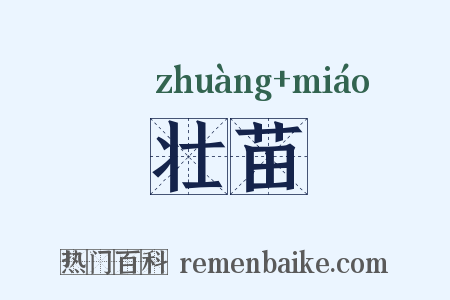 壮苗是什么意思的图片